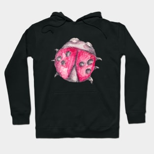 ladybird Hoodie